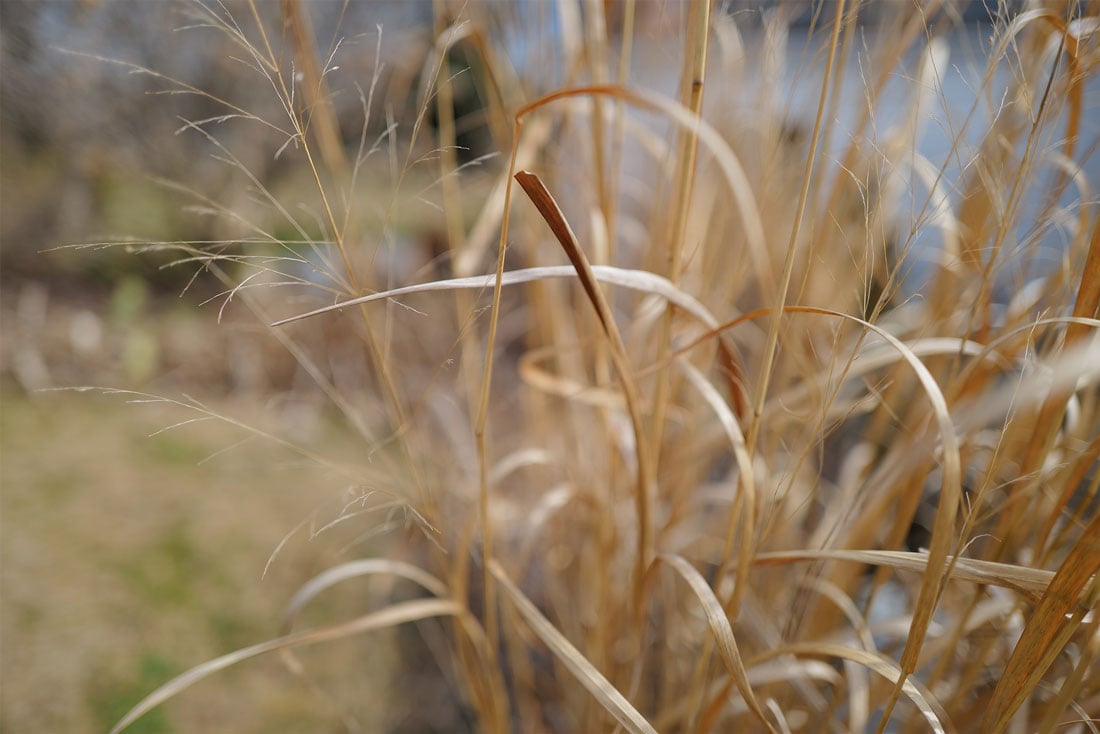 adapting-blog-post-featured-image