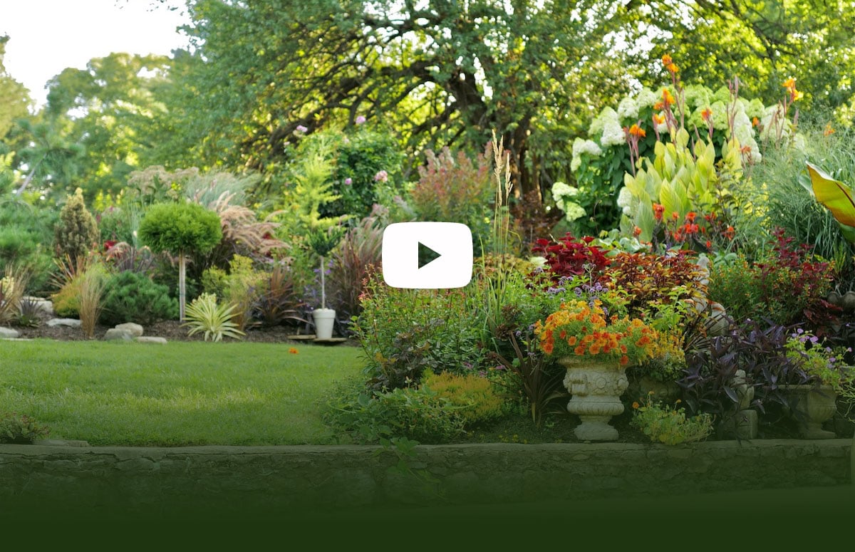 garden-video-featured-image-x1200