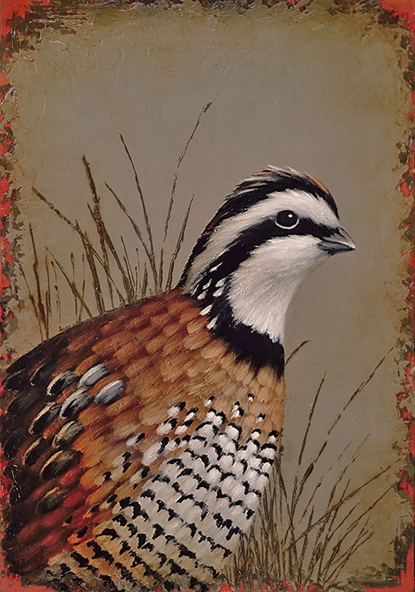 quail-purpose-featured-image