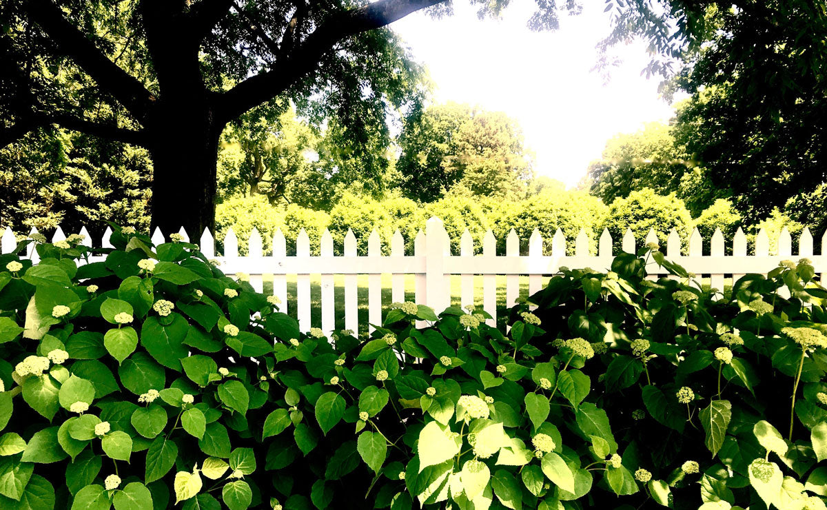 the-garden-post-featured-image