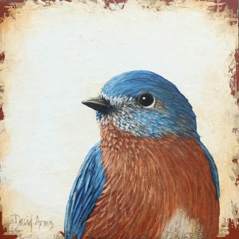 Bluebird • 7x7