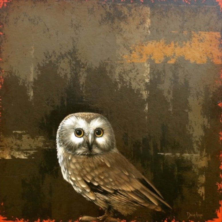 Owl • 36x36