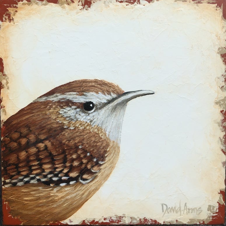 Wren • 7x7