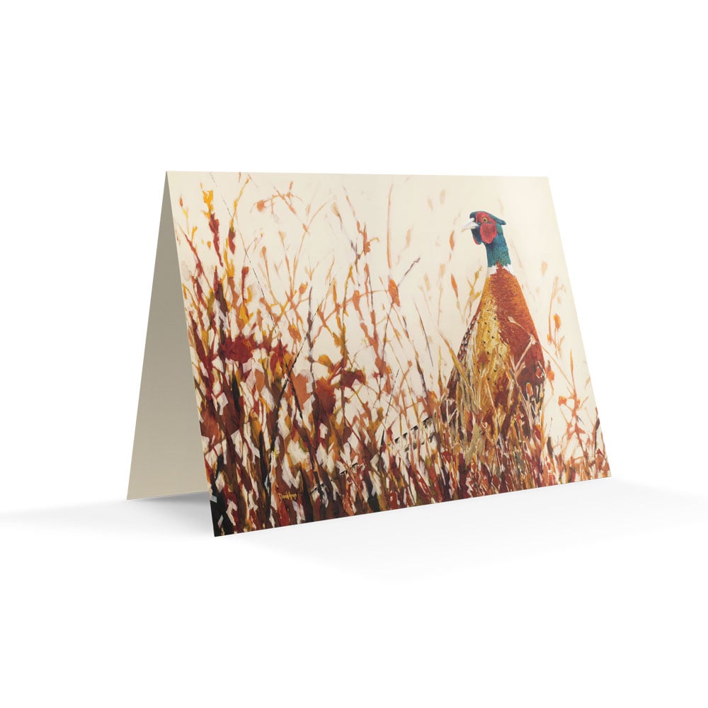 “Afield” Notecards