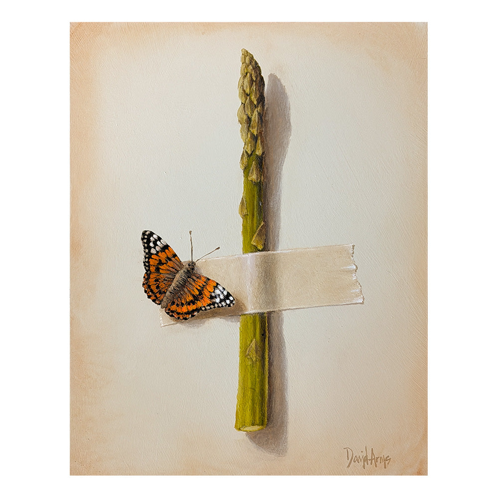 Asparagus • 11x14