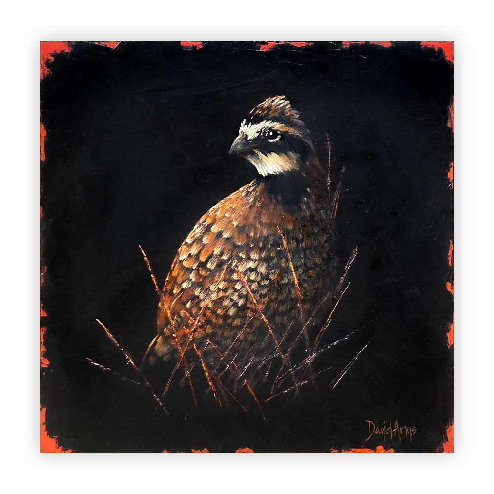 Bobwhite I