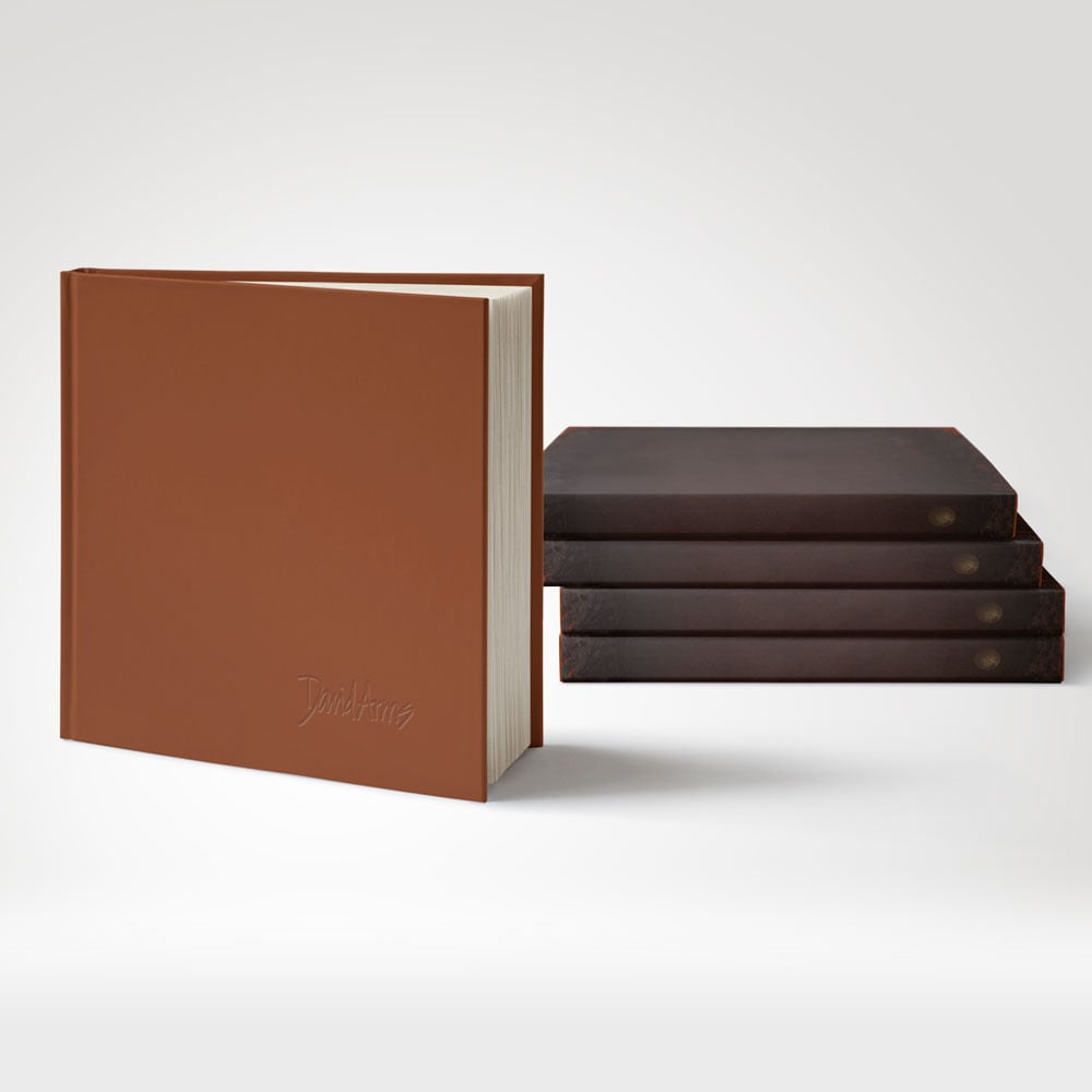 David Arms Coffee Table Book (2016)