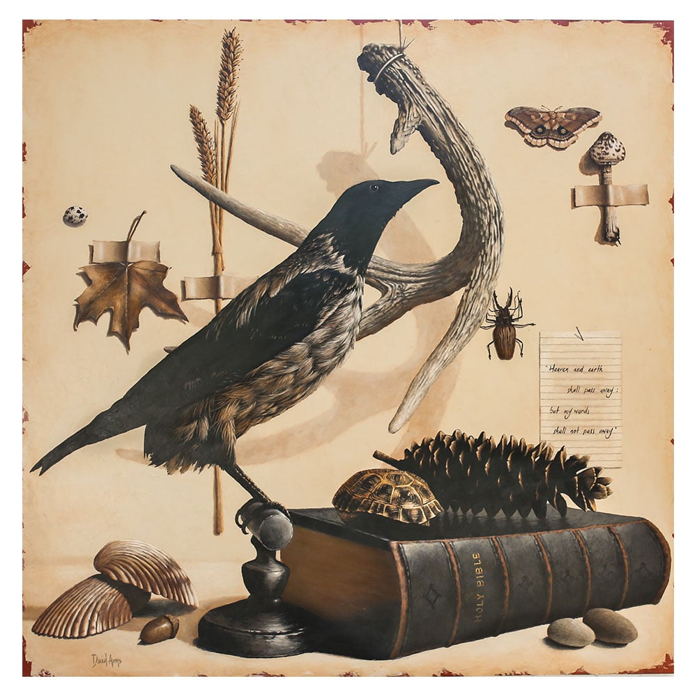 Cabinet Of Curiosities • 48x48