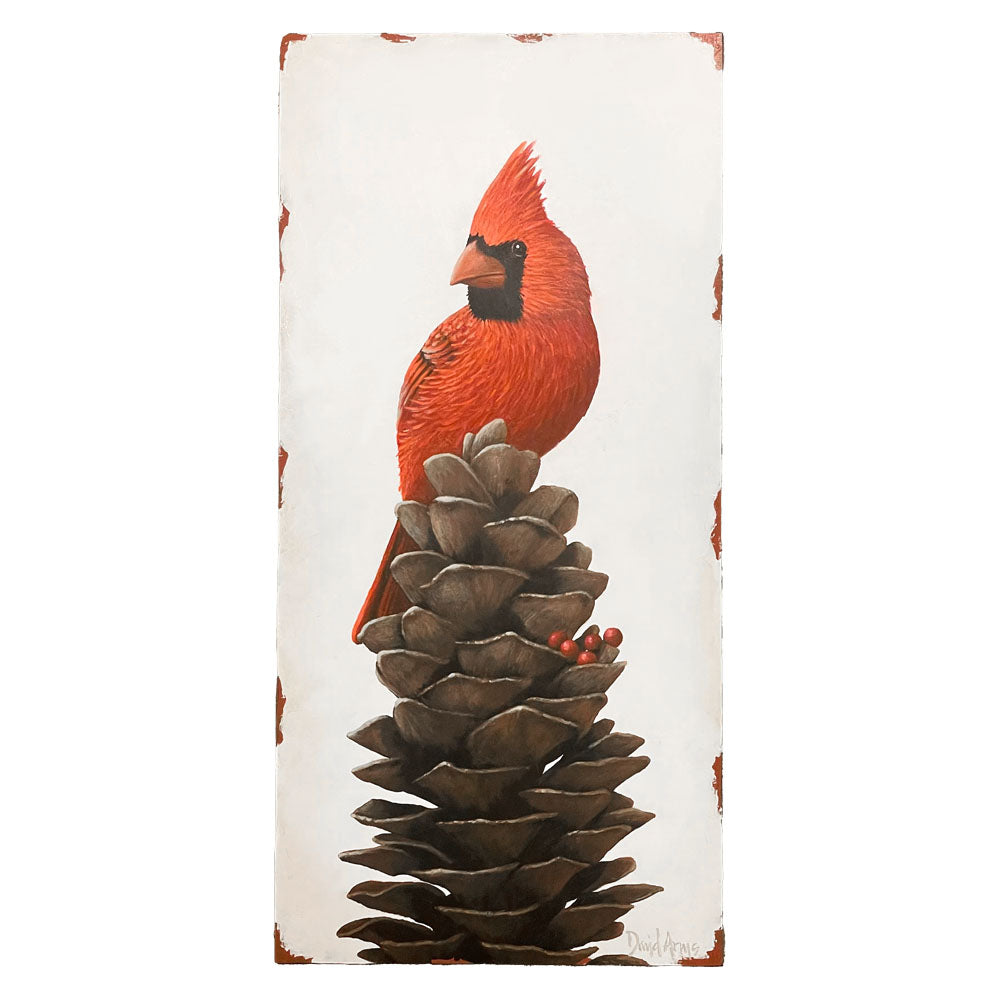 Cardinal • 11x23