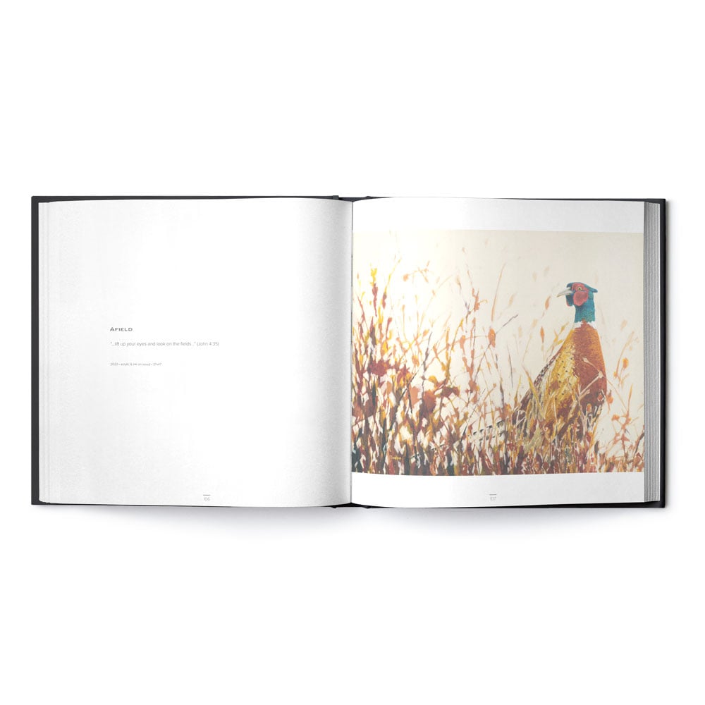 David Arms Coffee Table Book (2024)