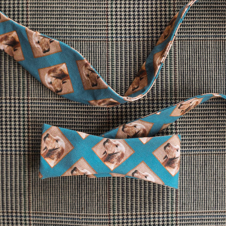 Dog Bow Tie (Blue)
