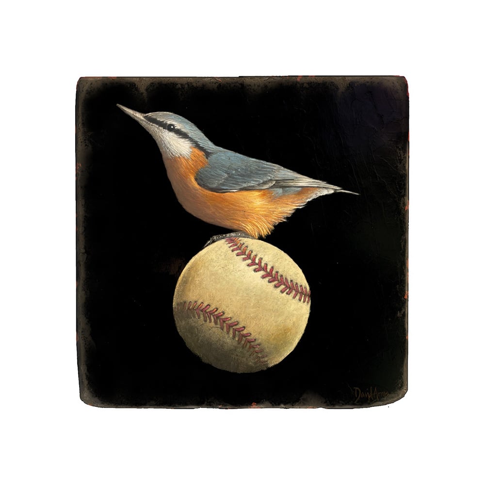 “Fly Ball” (nuthatch) Marble Coaster