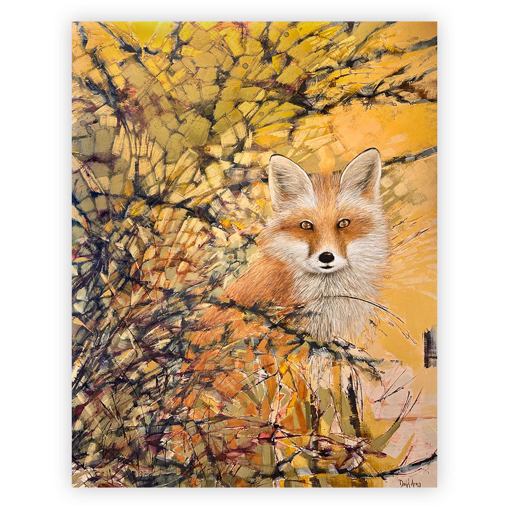 Fox • 37x47