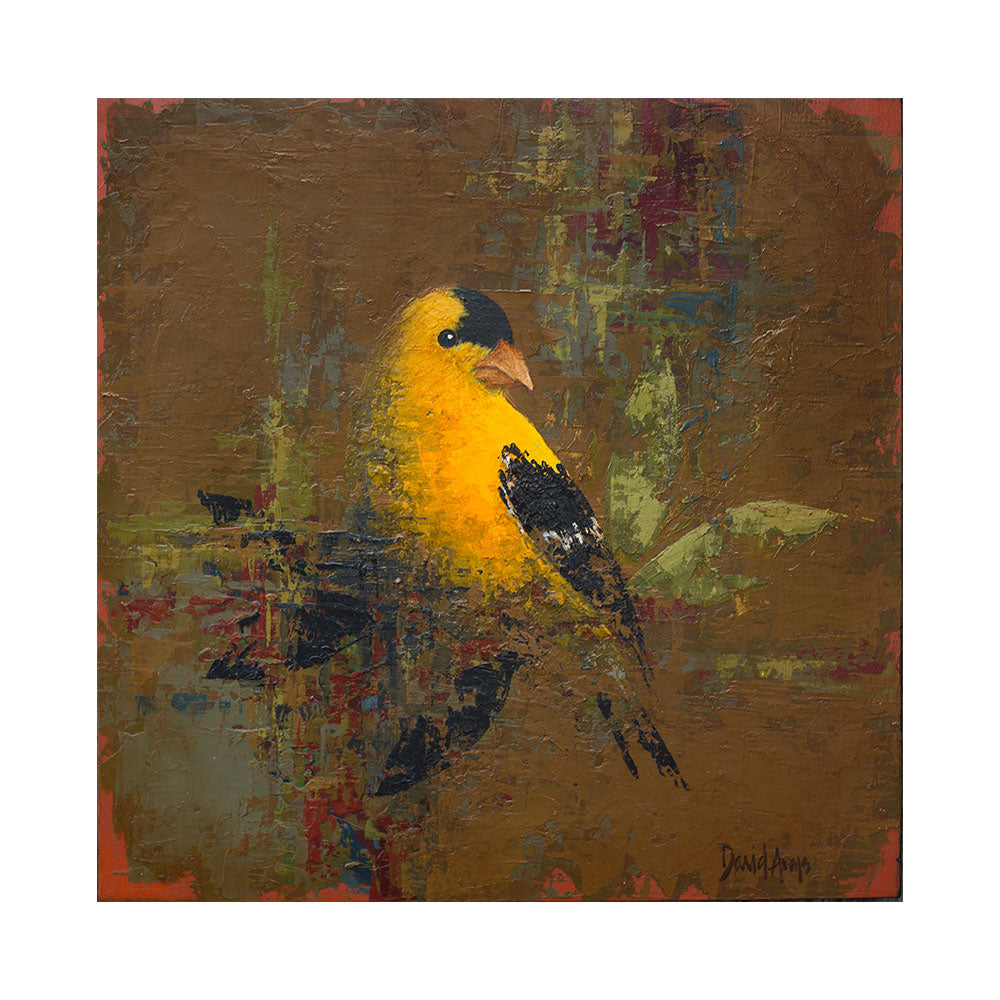 Goldfinch • 12x12