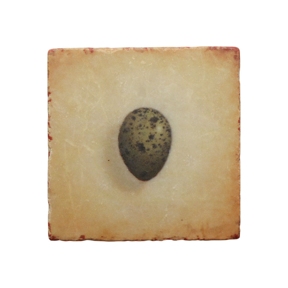 “Hope” (Crow Egg) Marble Coaster