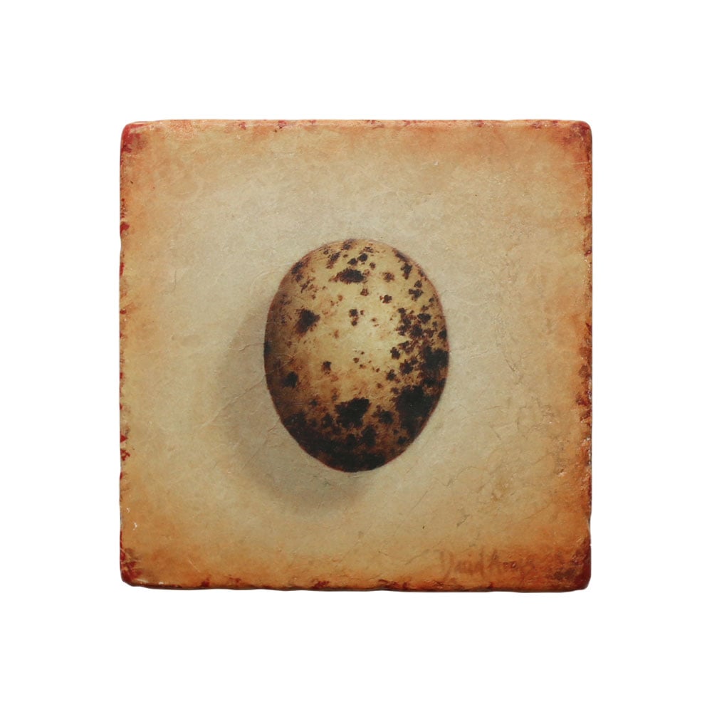 “Hope” (Hawk Egg) Marble Coaster