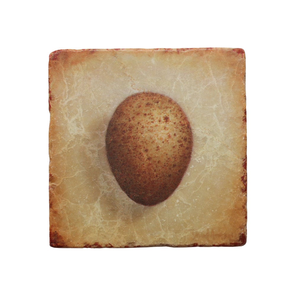 “Hope” (Wild Turkey Egg) Marble Coaster
