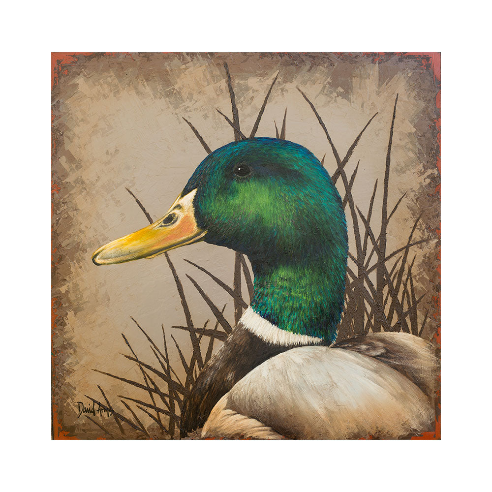 Mallard • 20x20