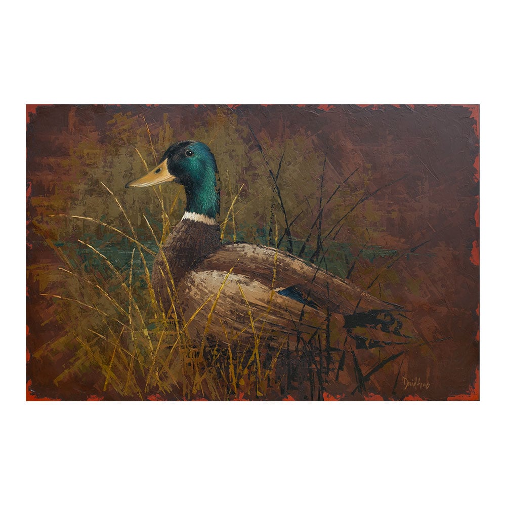 Mallard • 23x35