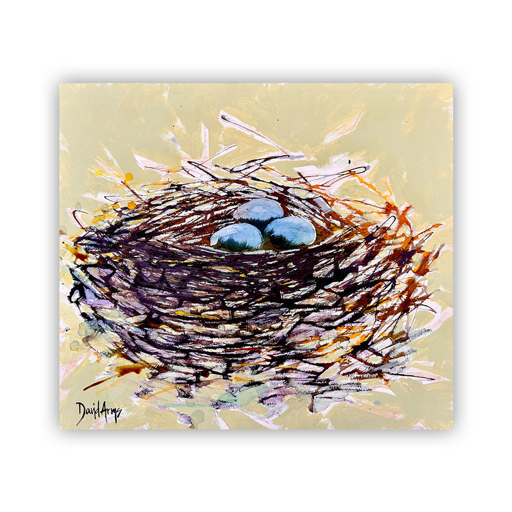 Nest • 15x17