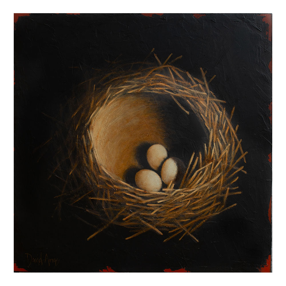 Nest II • 13x14