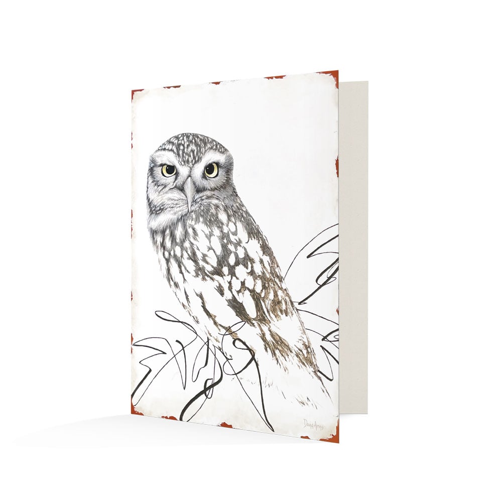“Pensive” (owl) Notecards
