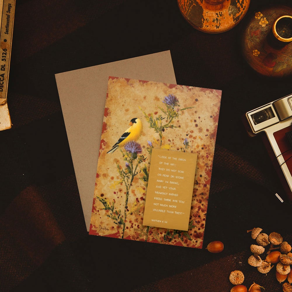 “Provision” Notecards