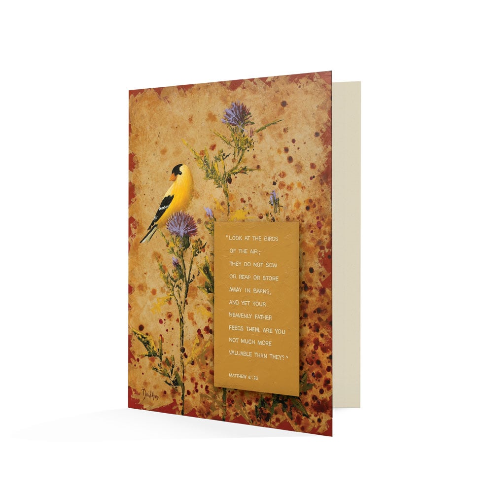 “Provision” Notecards