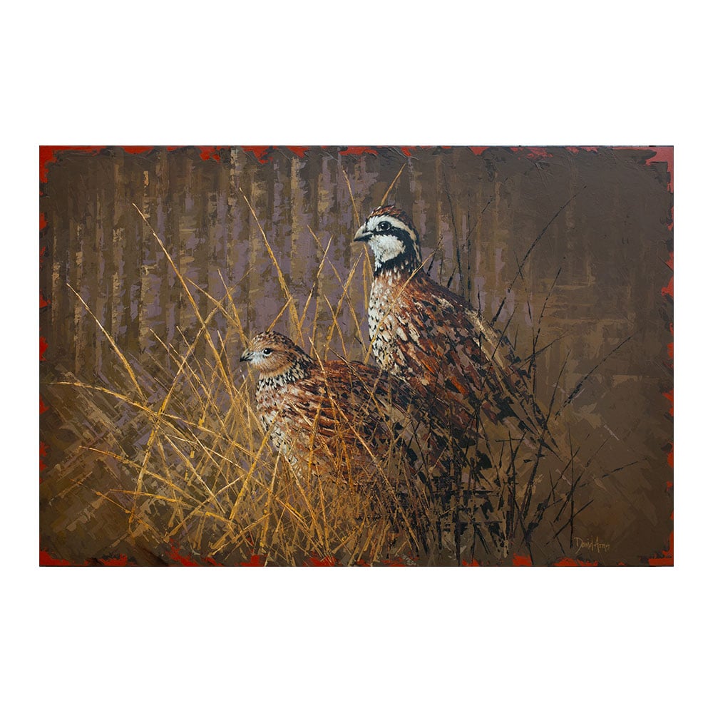 Bobwhite • 23x35