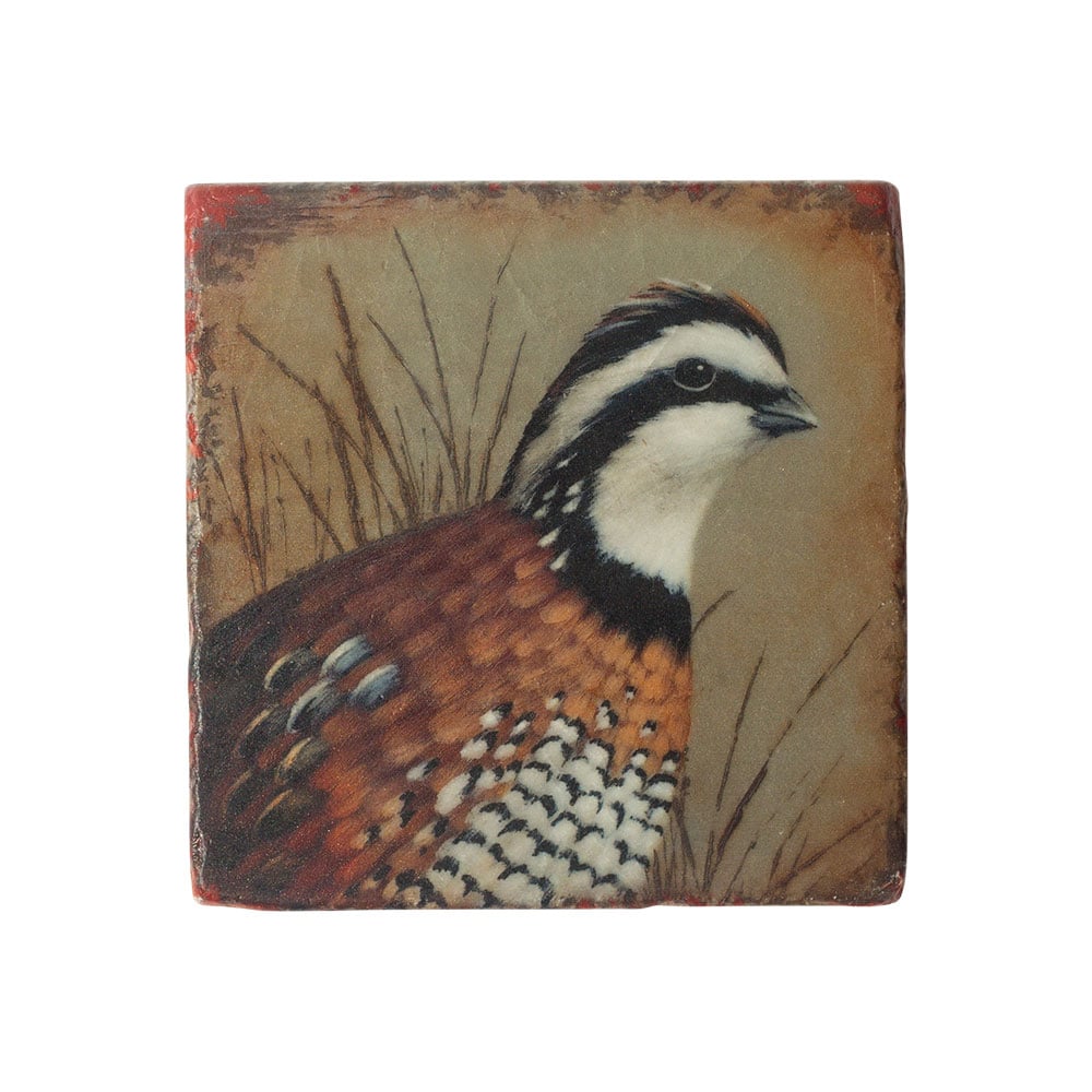 “Quail” Marble Coaster