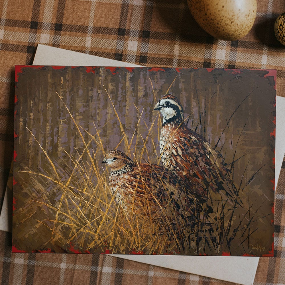 “Bobwhite” Notecards