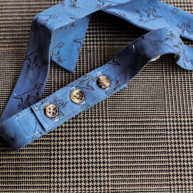 Setter Bow Tie (Blue)