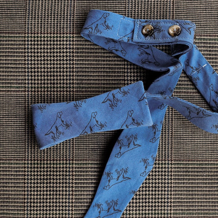 Setter Bow Tie (Blue)