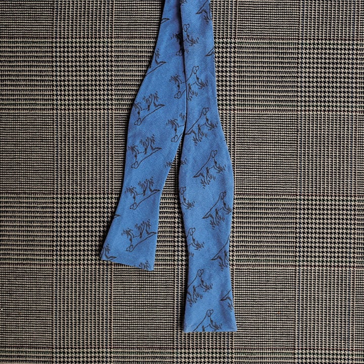 Setter Bow Tie (Blue)