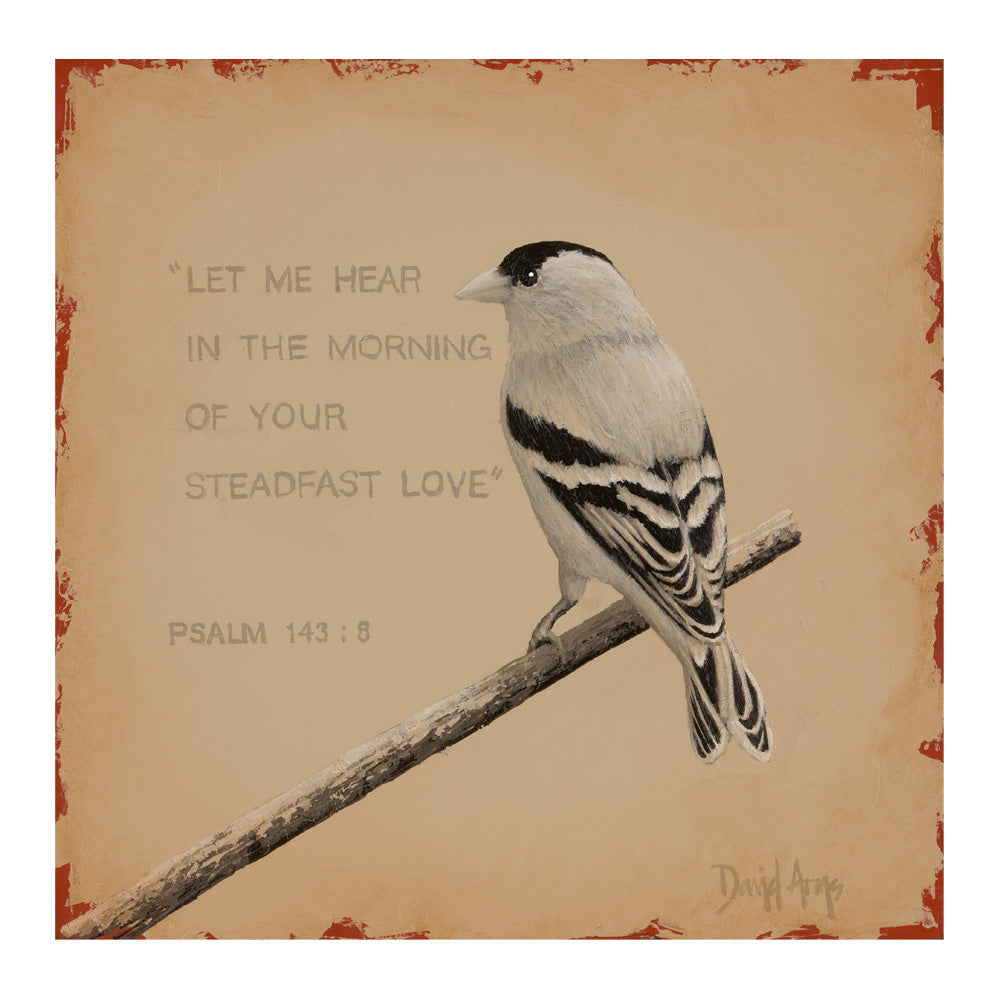 Steadfast Love • 13x13