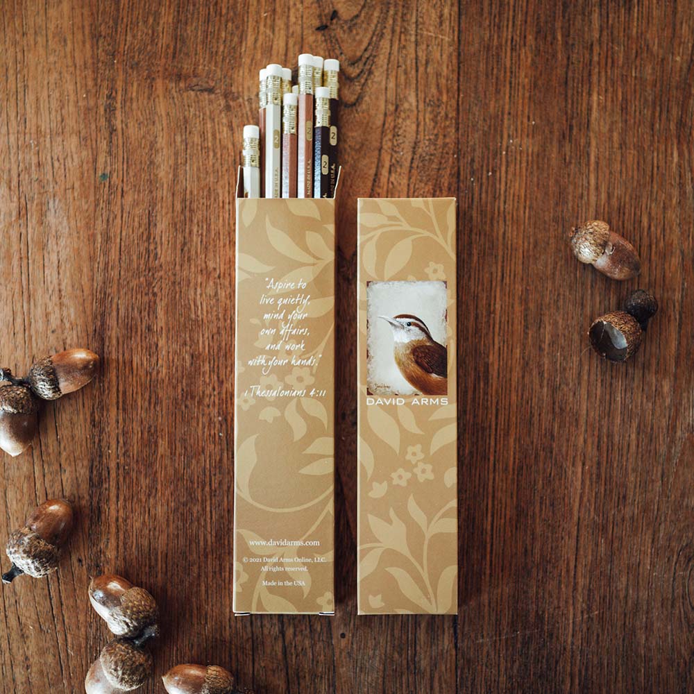 Boxed Pencils