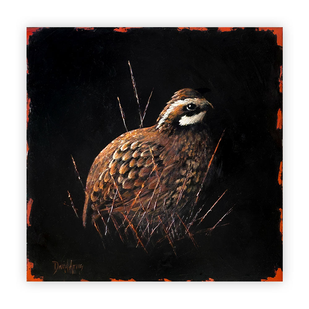 Bobwhite II