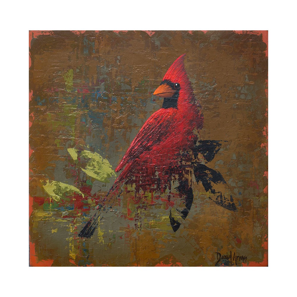 Cardinal • 12x12