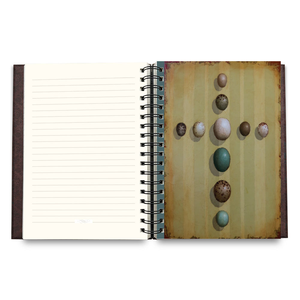 “Crosses” Journal