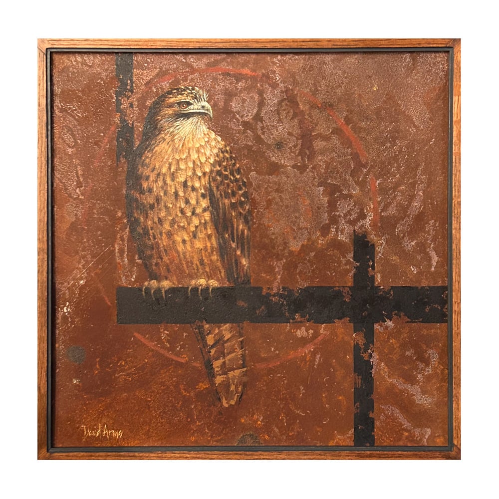 Hawk • 25.25x25.25