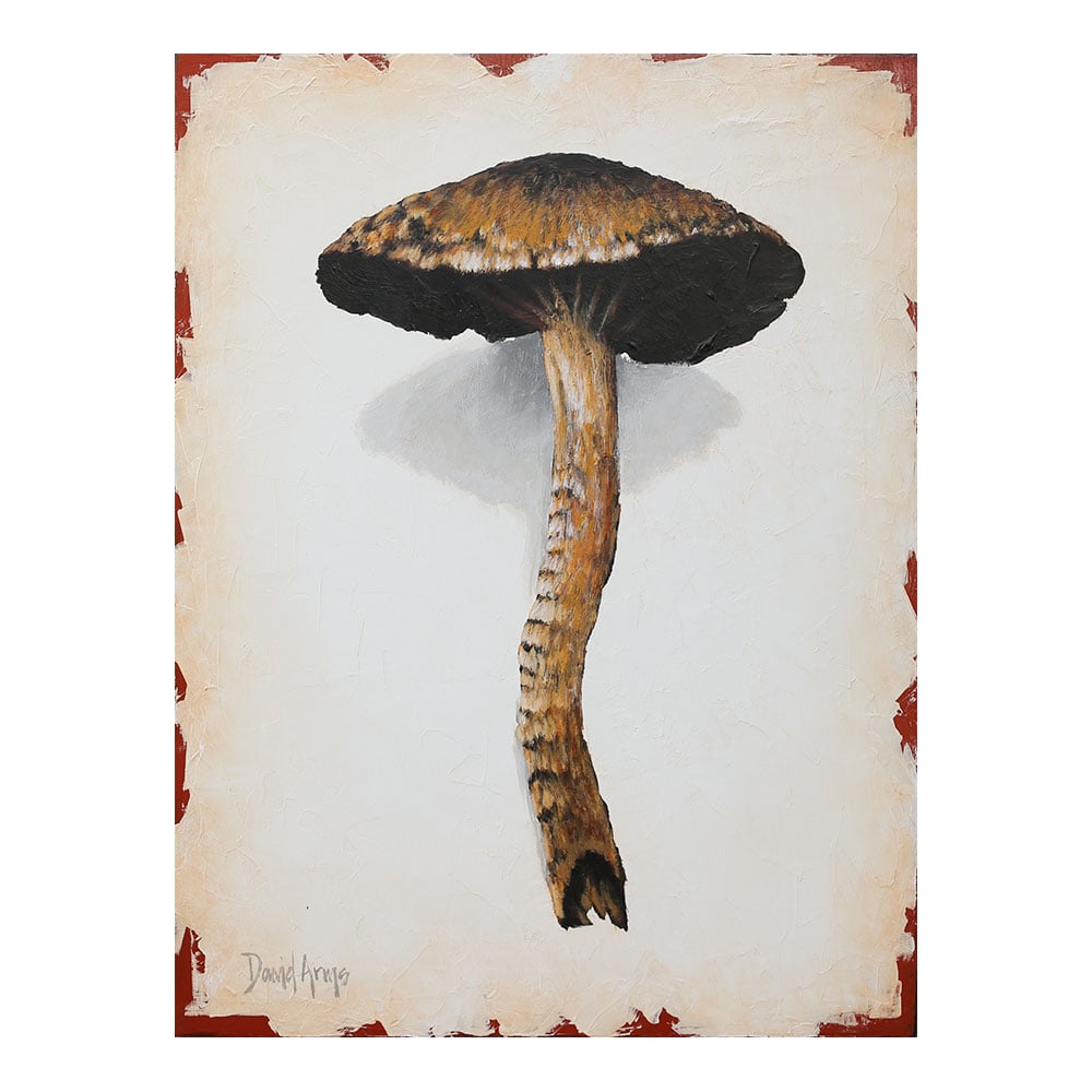 Mushroom • 10x13