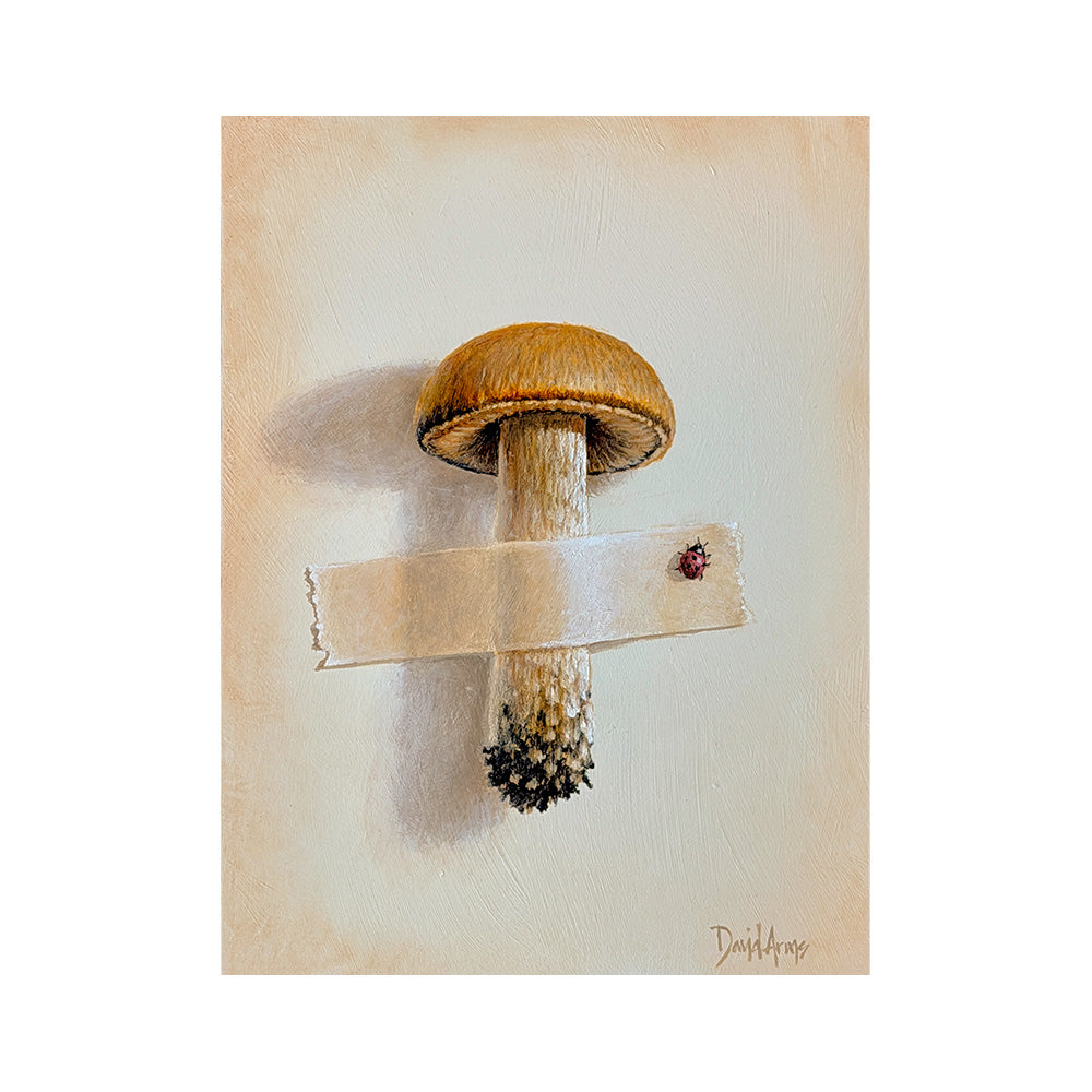 Mushroom • 9x12