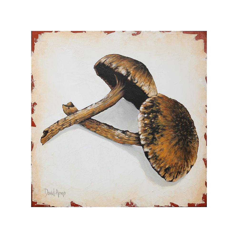 Mushrooms • 12x12