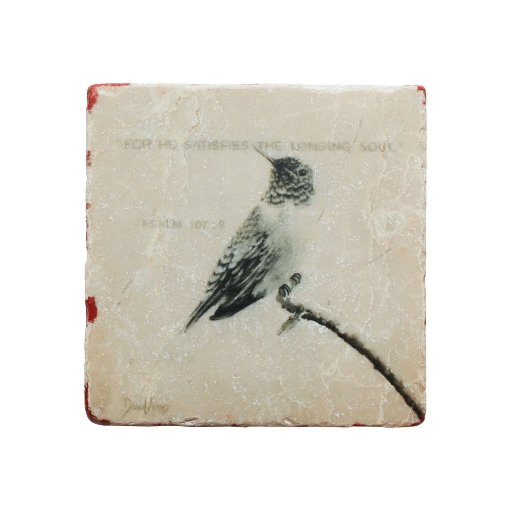 “Satisfies” Marble Coaster