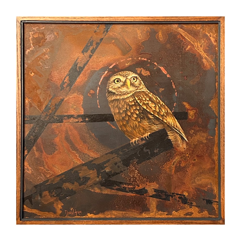 Owl • 25.25x25.25