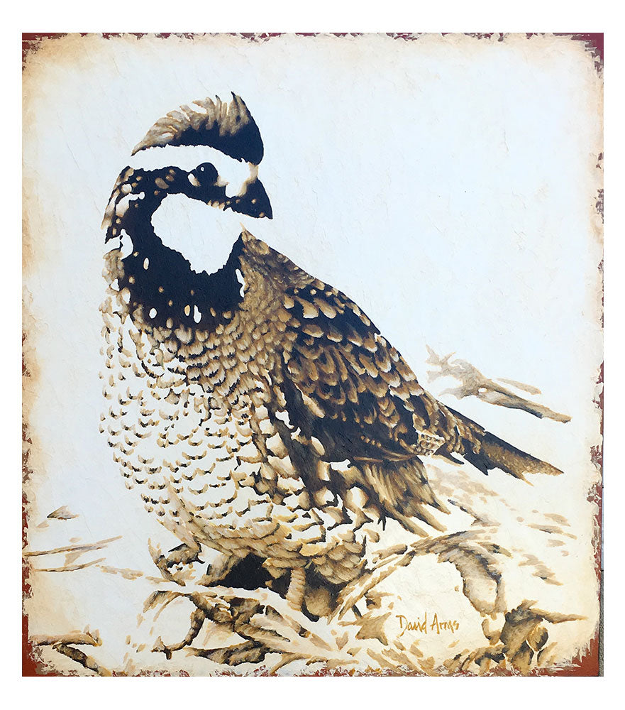 Quail • 21x23