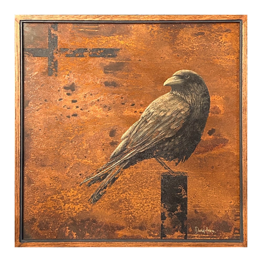 Raven • 25.25x25.25