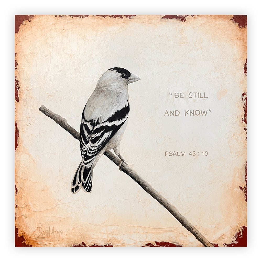 Still • 15x15