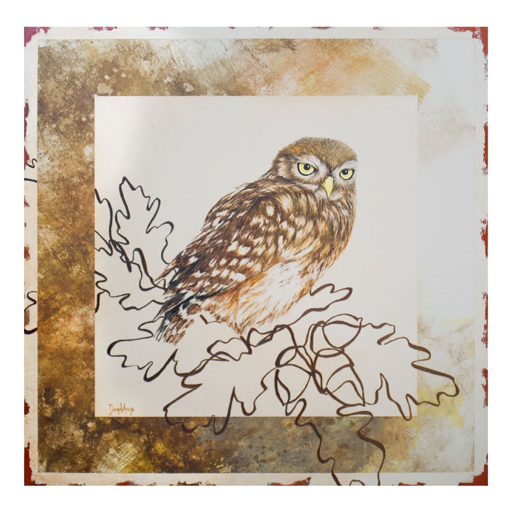 Still (Owl) • 31x31